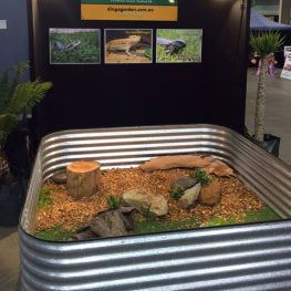 Reptile Enclosure Adelaide SA South Australia Rectangle Raised Garden Bed