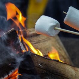 Toasted marshmallows over a firepit in Adelaide